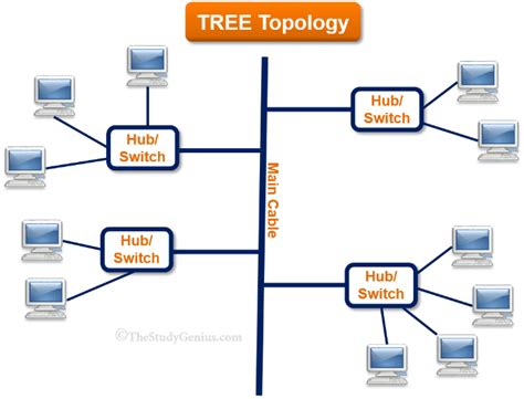 What is network topology and its types? - The Study Genius