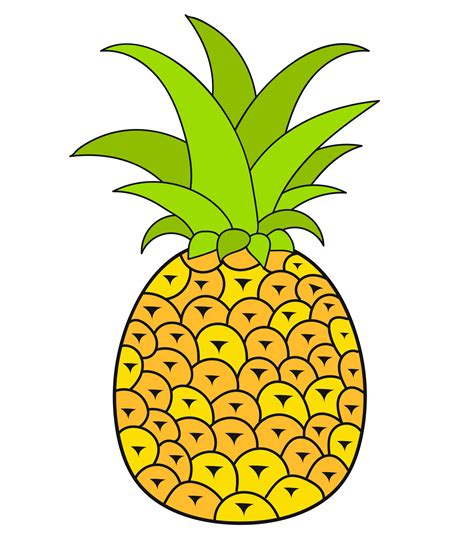 Summer Fruits For Healthy Lifestyle Pineapple Fruit Vector