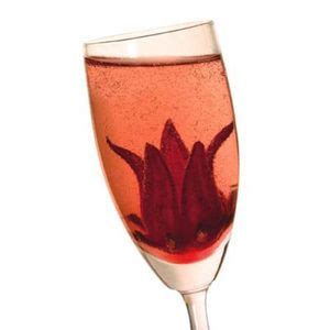 Finding hibiscus flowers for hibiscus tea. Wild Hibiscus Flowers in Syrup - Bloom in Champagne ...