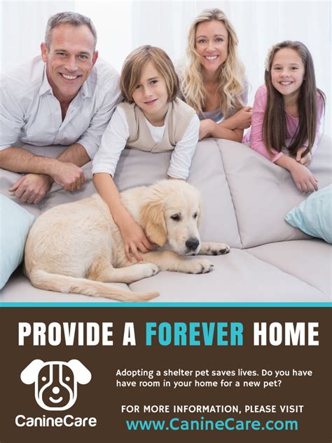 Pet Forever Home Poster Template Mycreativeshop