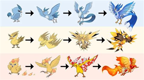 All Legendary Birds Evolution Pokemon Gen 8 Fanart Youtube