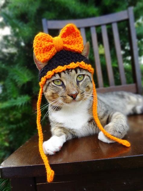 Halloween Hat For Cats And Small Dogs In By Iheartneedlework 1500