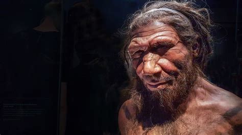 Heres What We Know Sex With Neanderthals Was Like Bbc Future