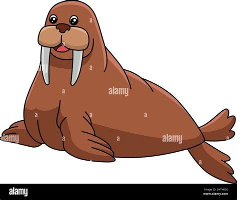 Walrus Cartoon Clipart Animal Ilustración Imagen Vector De Stock Alamy