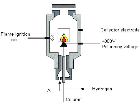 In general, each detector takes advantage of a unique characteristic of a molecule and uses that. 6: Schematic of a flame ionization detector for gas ...