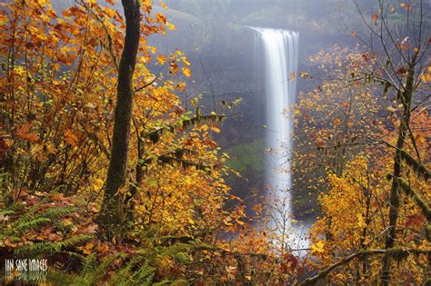 8 State Parks In Oregon With Beautiful Fall Foliage
