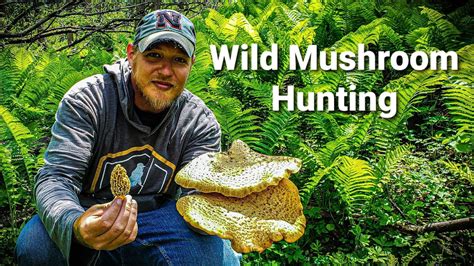 My First Time Hunting For Wild Mushrooms Catch And Cook Youtube