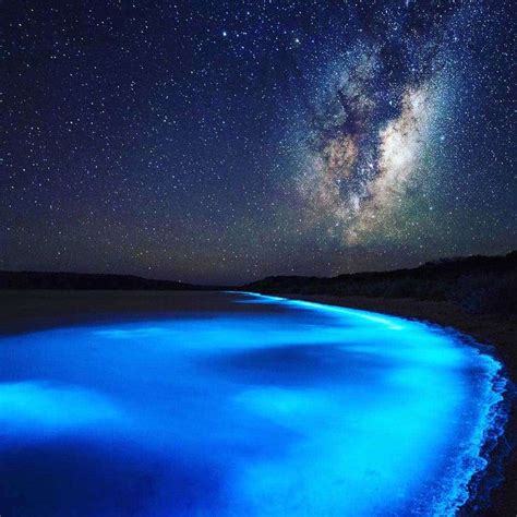 Bioluminescent Glowing Plankton On Koh Rong Island In Cambodia Tripzilla Malaysia