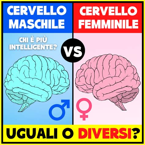 cervello maschile e cervello femminile uguali o diversi