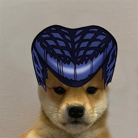 17 Dog With Hat Meme Anime