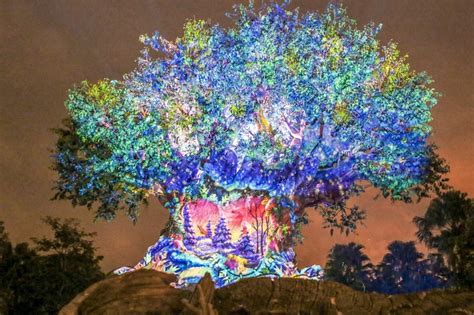All New Christmas Tree Of Life Awakenings Debut At Disneys Animal Kingdom