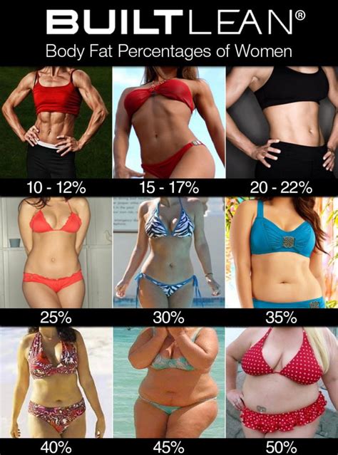What Body Fat Percentages Actually Look Like Kubex Fitness