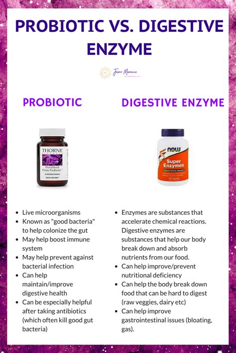 Are Digestive Enzymes The Same As Probiotics Martlabpro