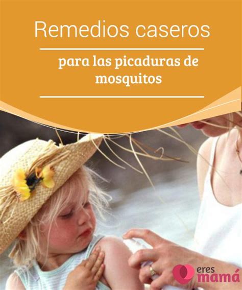 Remedios Caseros Para Las Picaduras De Mosquitos Picaduras