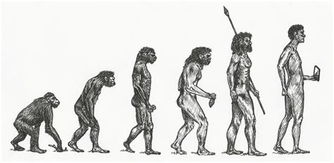 Human Prehistory Timeline Timetoast Timelines