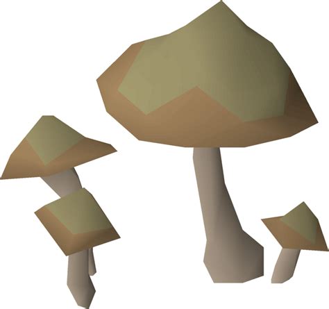 Wild Mushrooms Osrs Wiki