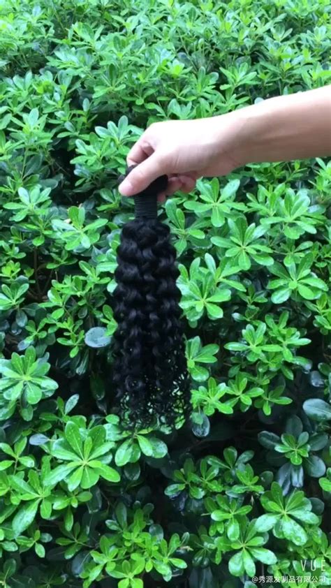 Chinese Hair Vendors Kinky Curl Brazilian Human Hair Wet And Wavy Weave
