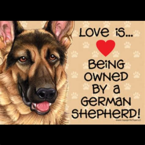 17 Best Images About German Shepherd Love On Pinterest Best Friends