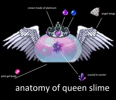 Anatomy Of Queen Slime Terraria