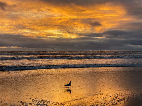 Stinson Beach Sunset 2 Matthew Young Flickr