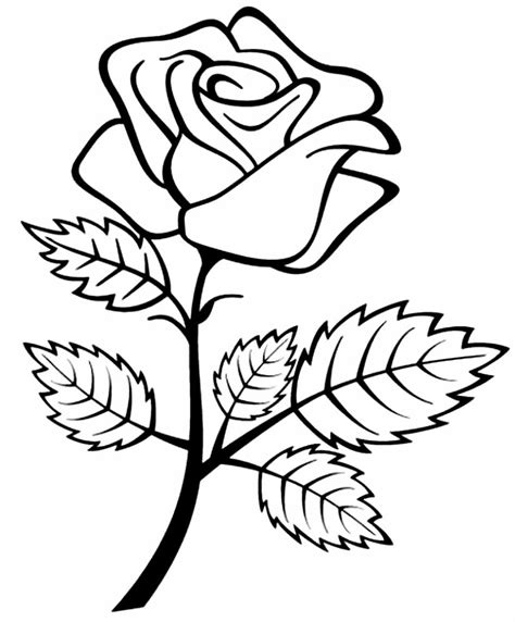 Desenho De Rosas Para Imprimir Desenhos De Rosas Para Colorir E