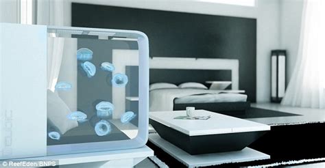 Alibaba.com offers 873 the moon jellyfish products. Jellyfish become trendy new pet in UK as Brit firm sells ...