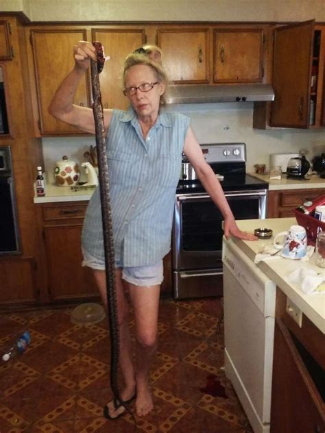 North Texas Family May Flee Ranch After Venomous Copperhead Snake Invasion