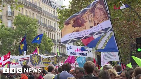 France Ivf Bill Thousands Take To Streets Of Paris Bbc News