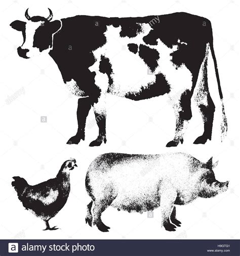 Set Of Realistic Farm Animals Hand Drawn With Pen Black And White Stock