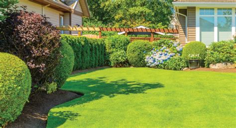We pride ourselves on offering the best lawn care in the area, and our customers agree. Seattle Lawn Care Services - Pest Control - Tree Service