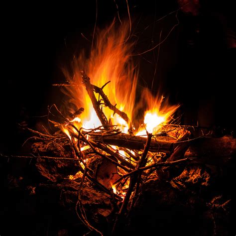 Free Images Night Sparkler Flame Fire Darkness Black Campfire