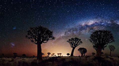 Hd Wallpaper Night Landscape The Milky Way Trees Desert Area In Night