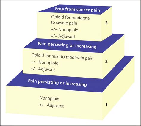 Pharmacologic Management Of Pain At The End Of Life Aafp
