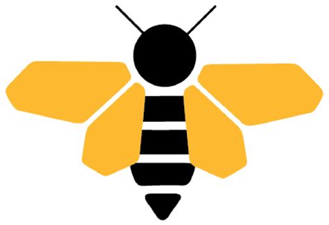 Bee Png Transparent Image Download Size 1316x904px