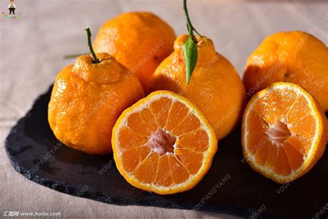 20pcs Bonsai Orange Potted Edible Tangerine Citrus Fruit Dwarf Orange