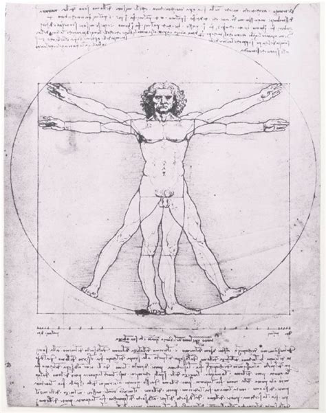 Vitruvian Man History Drawing Leonardo Da Vinci Meaning Facts Britannica