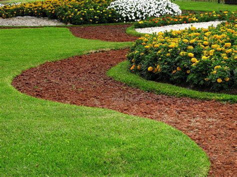 Backyard Lawn Beginner Guide Everlast Services
