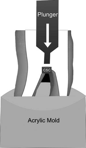 Schematic Representation Of The Push Out Test Arrow Indicates