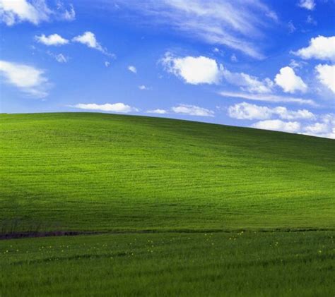 Windows Xp Bliss Wallpaper Download To Your Mobile From Phoneky