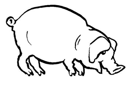 Schwein Ausmalbilder Tiere Ausmalbilder Ausmalen