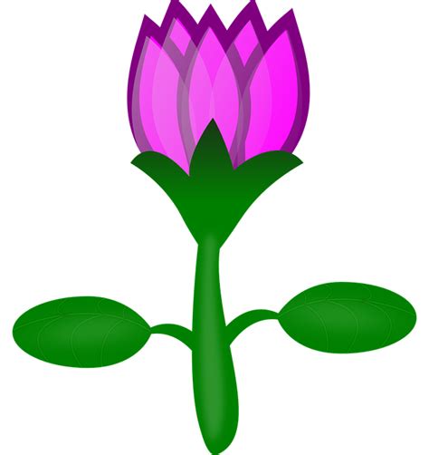 10 Gambar Bunga Tulip Kartun Gambar Bunga Indah