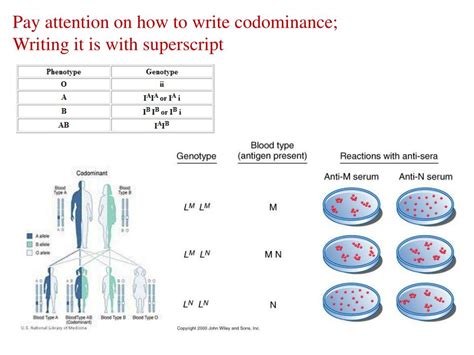 In genetics, dominance is the phenomenon of one variant (allele) of a gene on a chromosome masking or overriding the effect of a different variant of the same gene on the other copy of the chromosome. PPT - 2. CODOMINANCE, INCOMPLETE DOMINANCE AND MULTIPLE ALLELES PowerPoint Presentation - ID:1326181