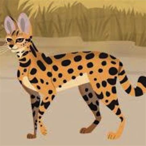 Serval/Leptailurus Serval | Wild kratts, Serval, Wild dogs