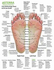 Hand Foot Reflexology Cardstock 8 5x11 Reflexology Foot Chart