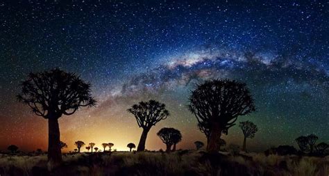 The Milky Way Stretches Over The Quiver Tree Forest