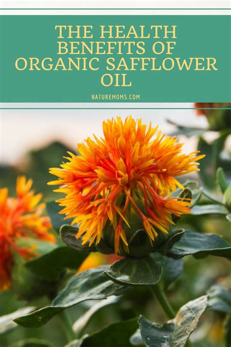 The Health Benefits Of Organic Safflower Oil Safflower Oil Benefits