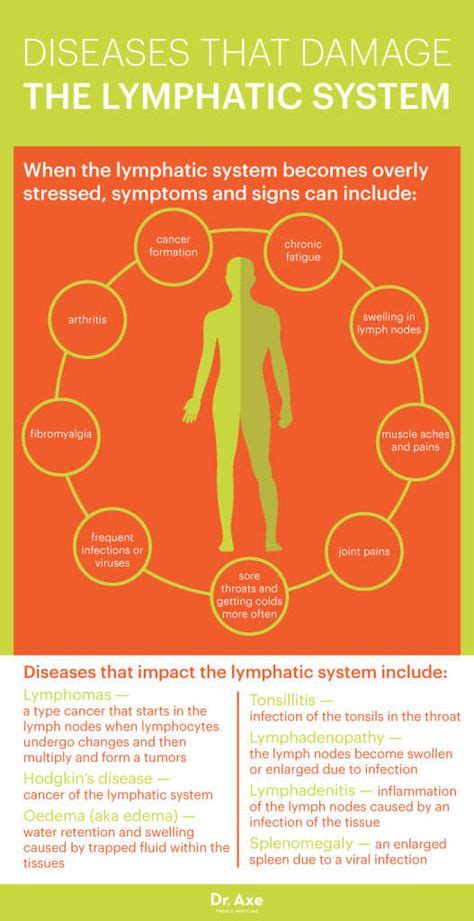 Lymphatic System How To Make It Strong And Effective In 2020 Lymphatic