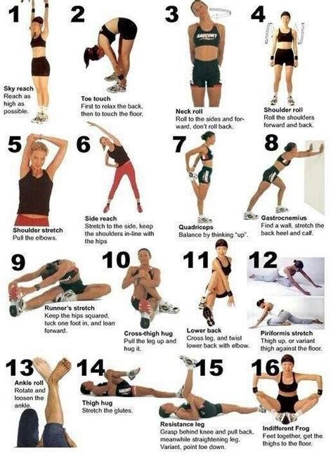Healthy Stretches Stretches Before Workout Body Stretches Stretching Exercises Static