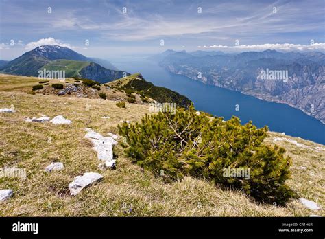 On Monte Altissimo Above Nago Overlooking Lake Garda With Monte Baldo