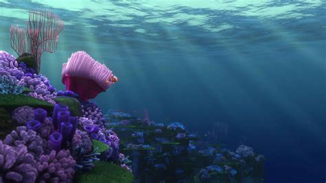 42 Wallaby Way Finding Nemo 2003 Pixar Films Cinemagraph Les S